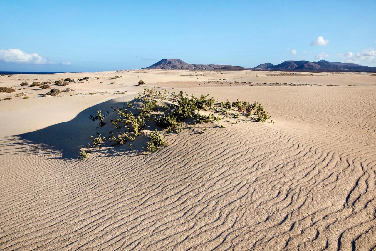 Villa Contenta Corralejo Extérieur photo